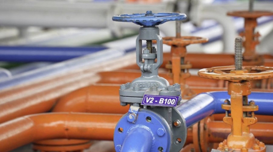 nhiên liệu điêzen sinh học B5