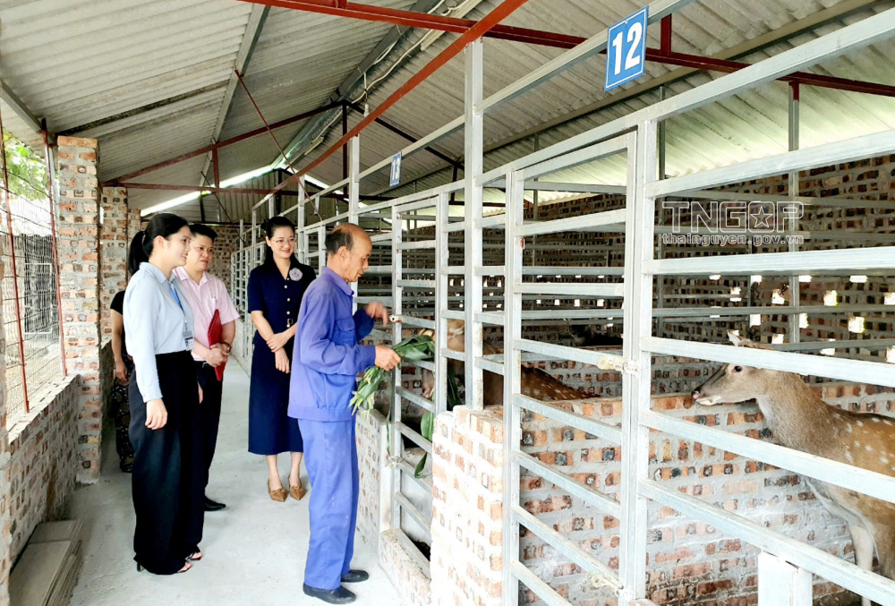 giảm nghèo bền vững