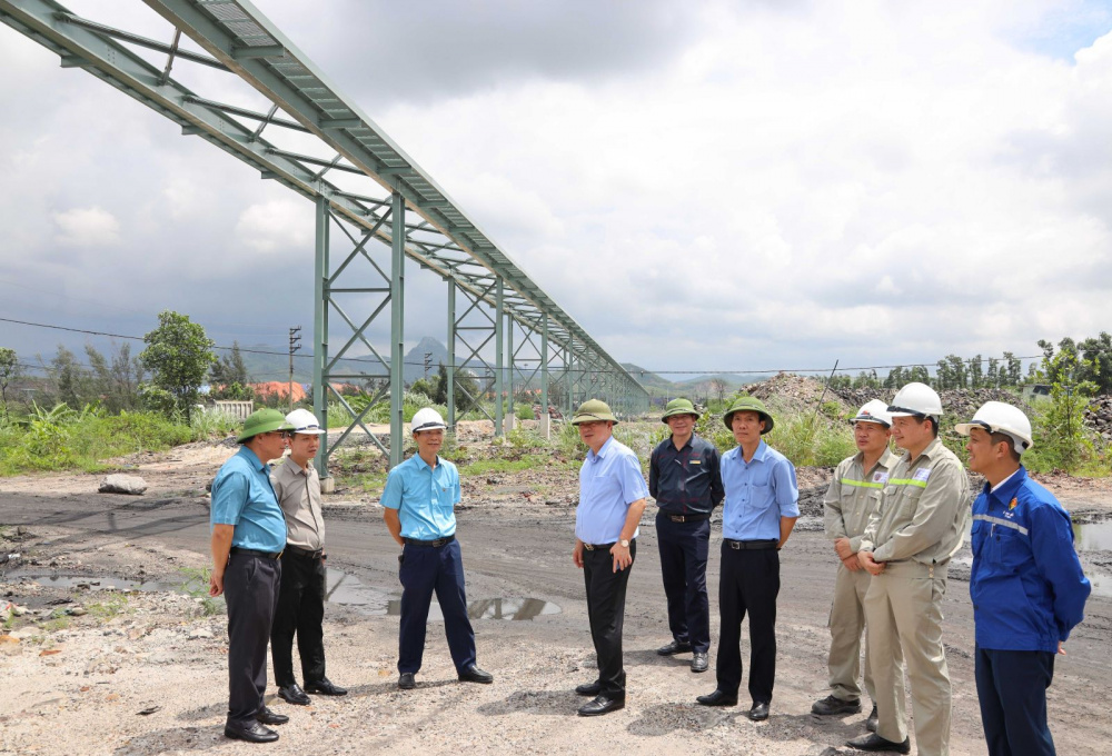 tkv đầu tư 1