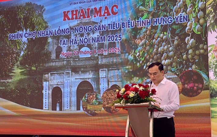 Nhãn lồng