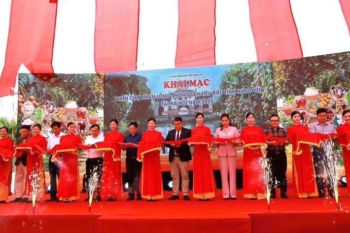 Nhãn lồng