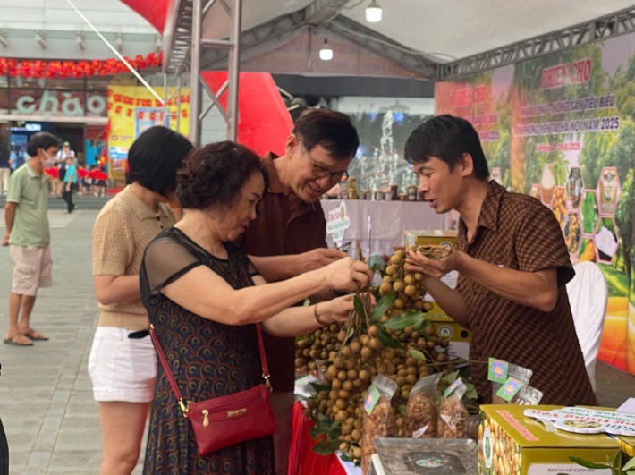 Nhãn lồng