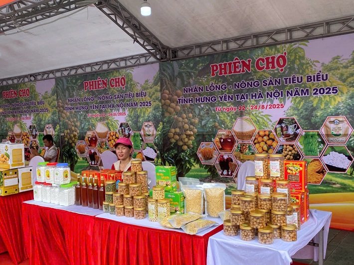 Nhãn lồng