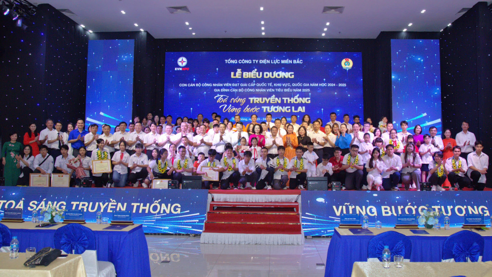 Tổng công ty Điện lực miền Bắc