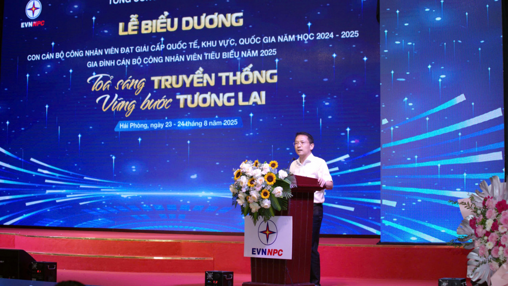 Tổng công ty Điện lực miền Bắc
