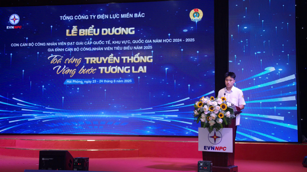 Tổng công ty Điện lực miền Bắc