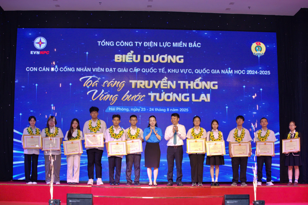 Tổng công ty Điện lực miền Bắc