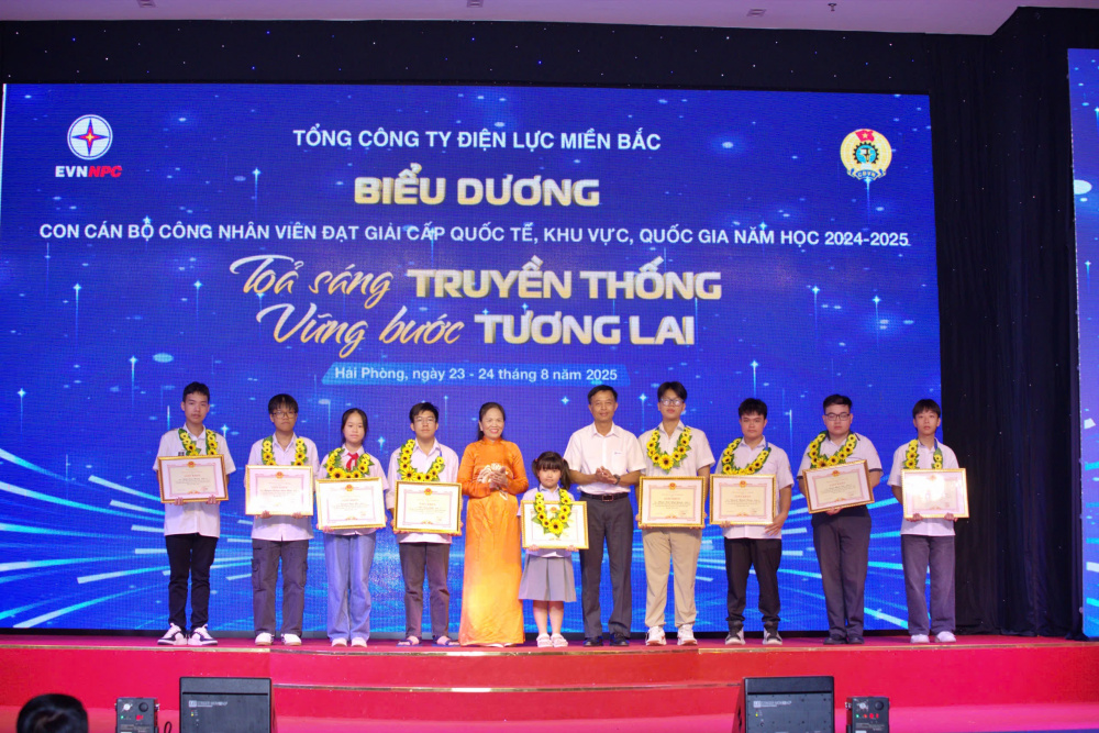 Tổng công ty Điện lực miền Bắc