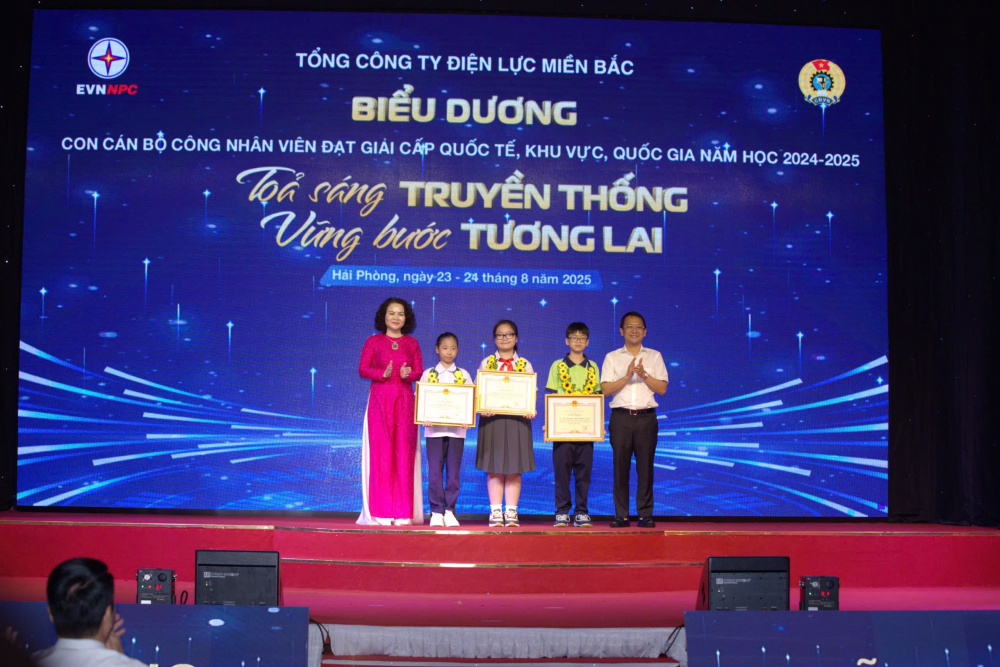 Tổng công ty Điện lực miền Bắc