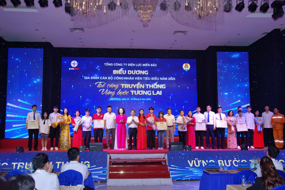 Tổng công ty Điện lực miền Bắc