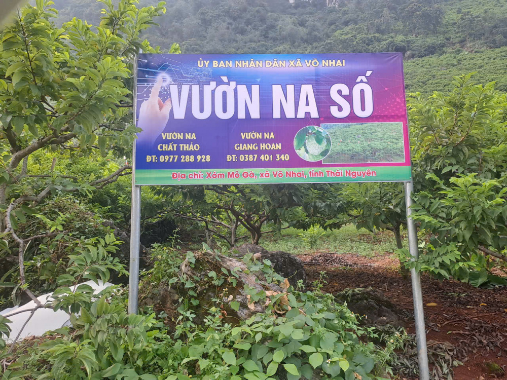 Thái Nguyên