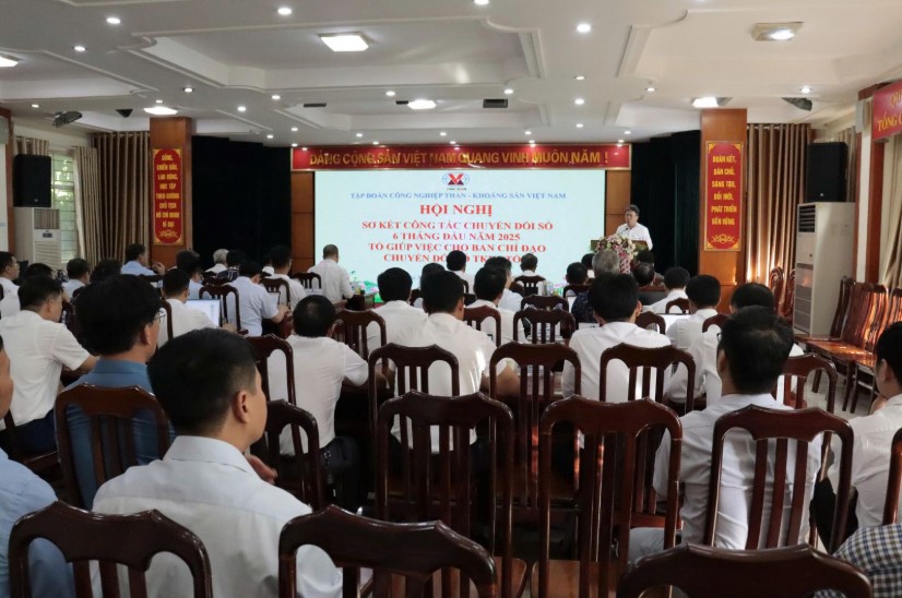 tkv chuyển đổi số