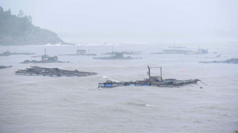 ứng phó bão khôi phục sản xuất