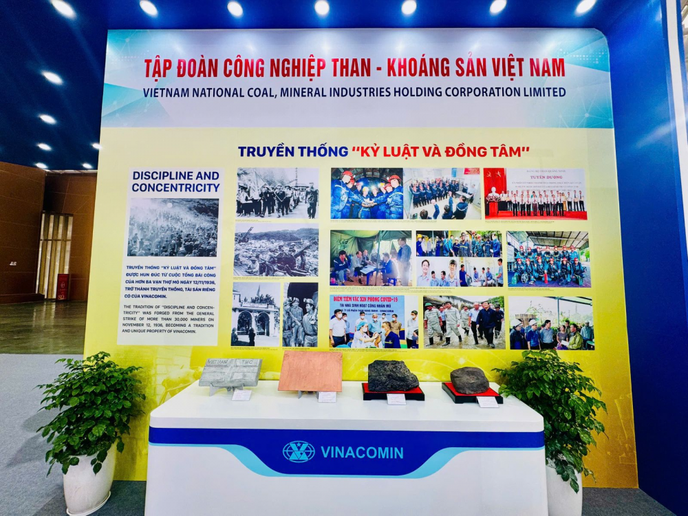 tkv triển lãm
