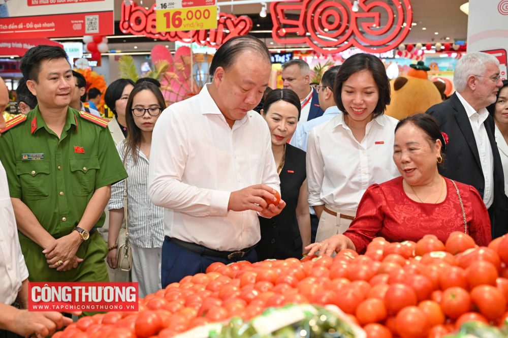 GO! Yên Bái, Lào Cai 