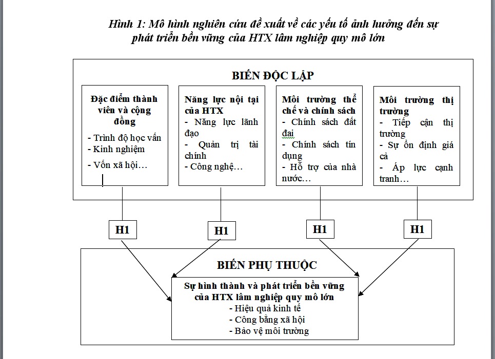 về mô hình hợp tác xã