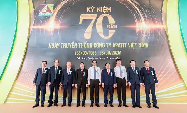 Apatit Việt Nam 