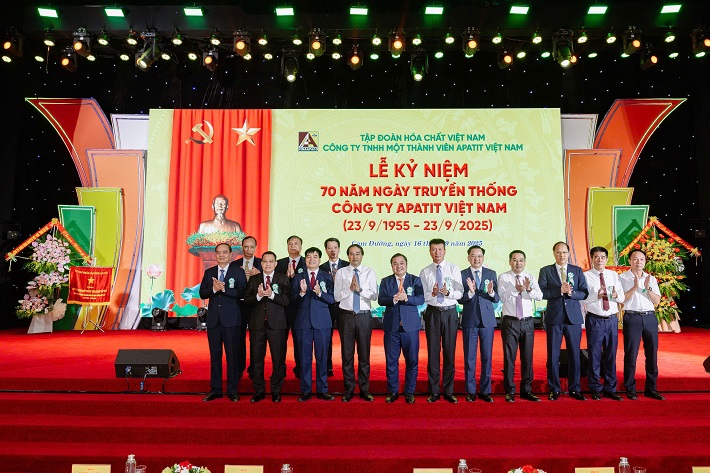 Apatit Việt Nam a
