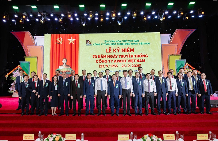 Apatit Việt Nam c