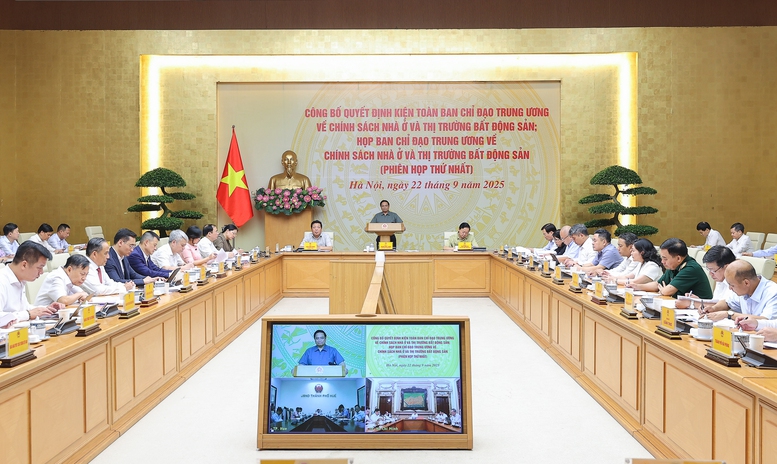 ban chỉ đạo nhà ở bất động sản