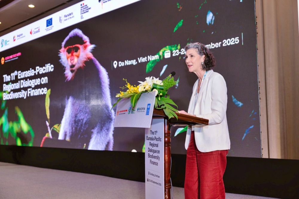 đại diện UNDP