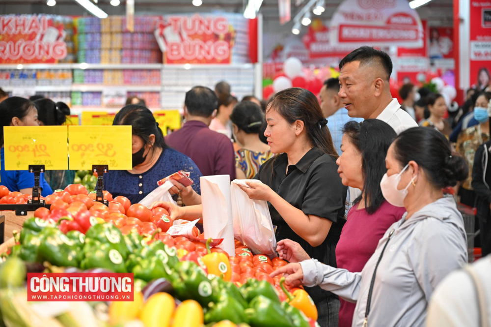 Thị trường trong nước đóng vai trò quan trọng ổn định kinh tế, với mức tăng trưởng bán lẻ ~8,1%/năm
