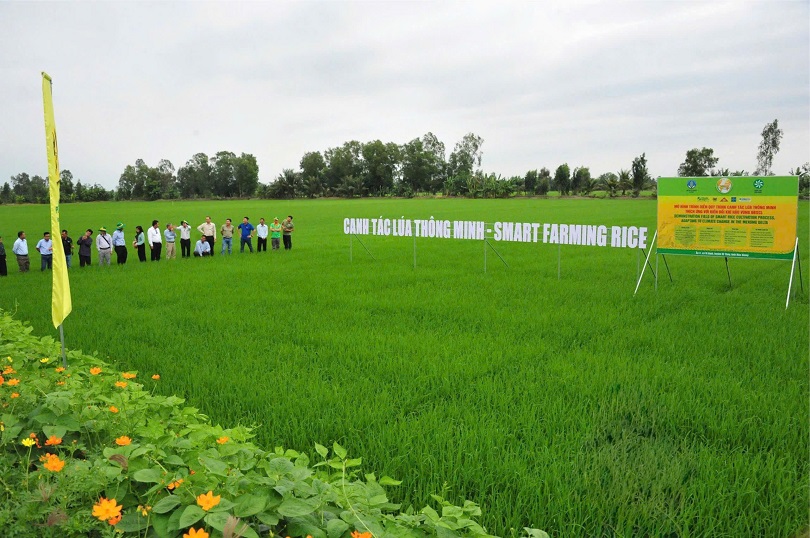 Đầu Trâu Bio-Canxi