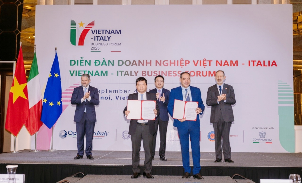 hợp tác
