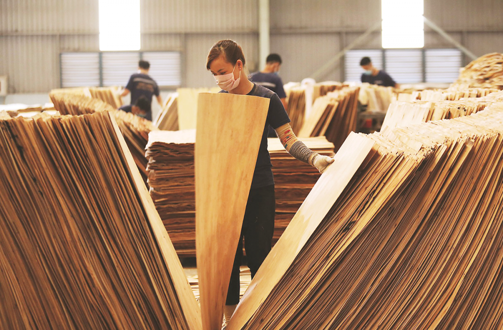 Việt Nam áp thuế chống bán phá giá tạm thời với ván sợi gỗ xuất xứ từ Thái Lan và Trung Quốc