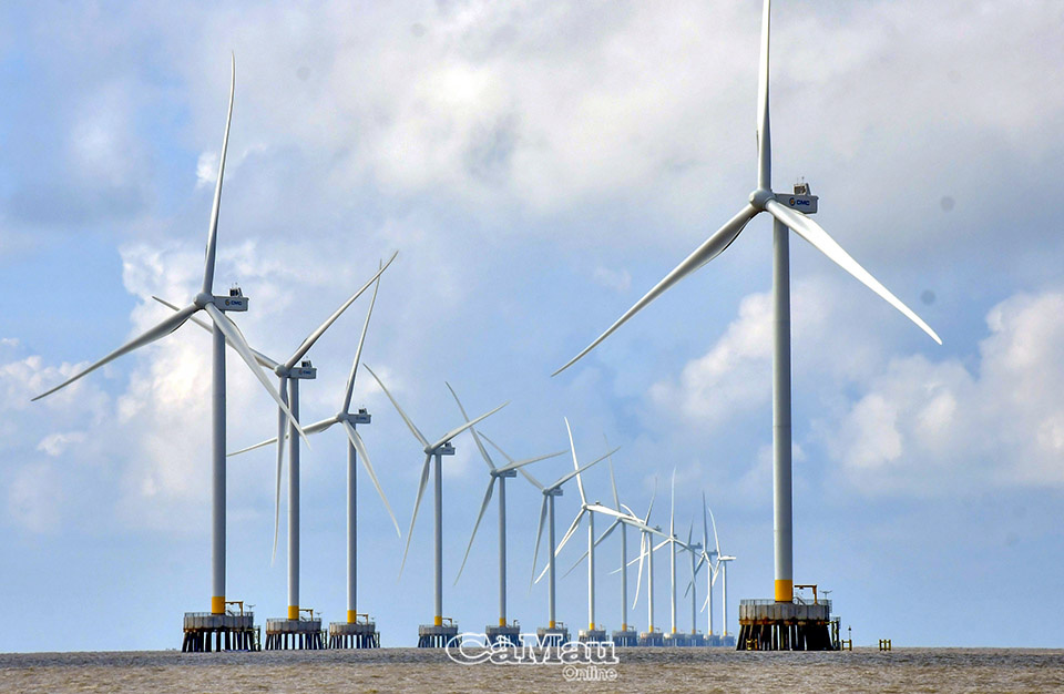điện gió Cà Mau