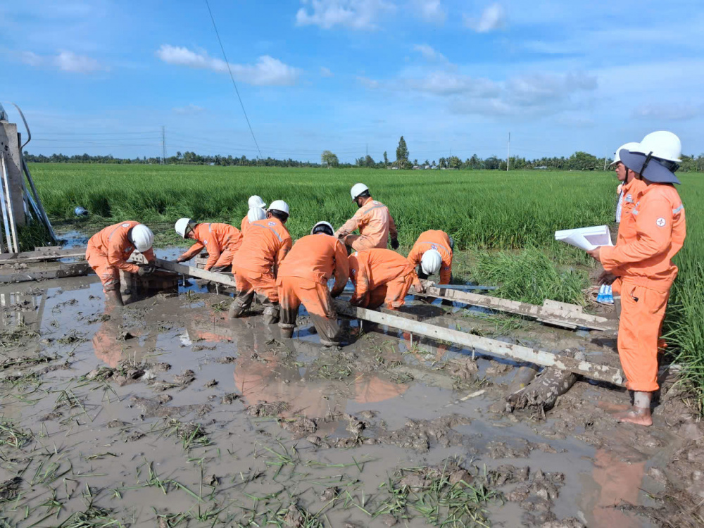 Đầu tư xây dựng lưới điện năm 2025: EVNSPC về đích vượt chỉ tiêu