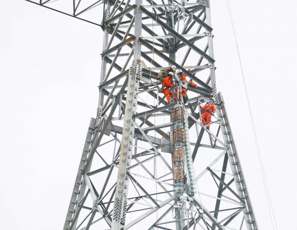 Tập đoàn Điện lực Việt Nam