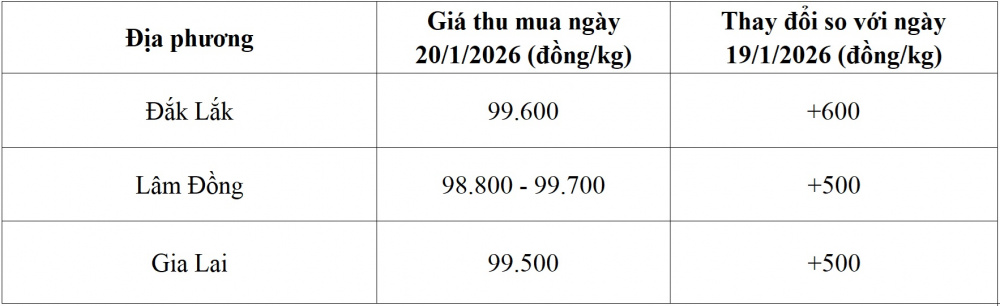 giá cà phê hôm nay