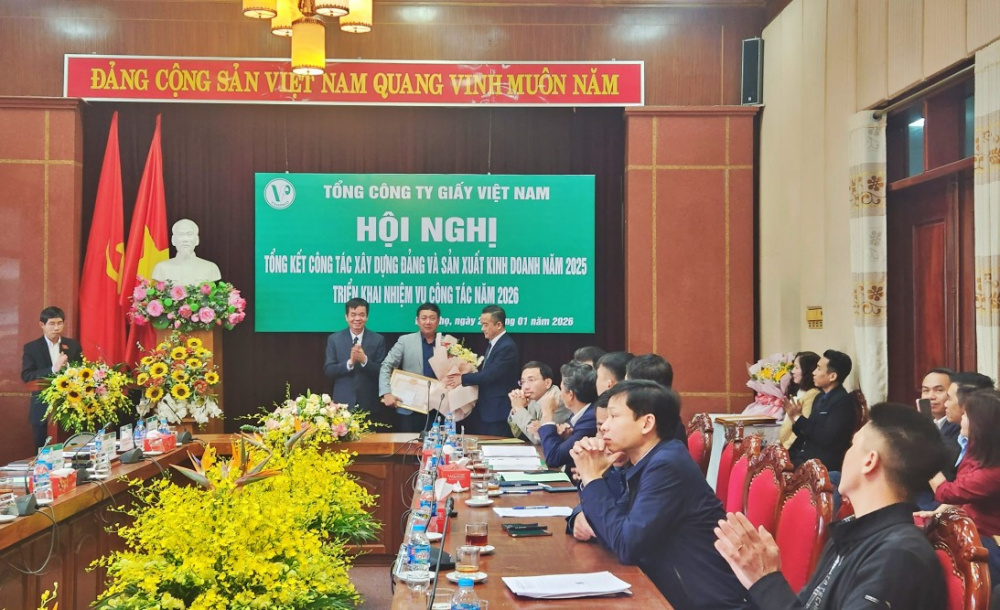 tại Tổng công ty Giấy Việt Nam