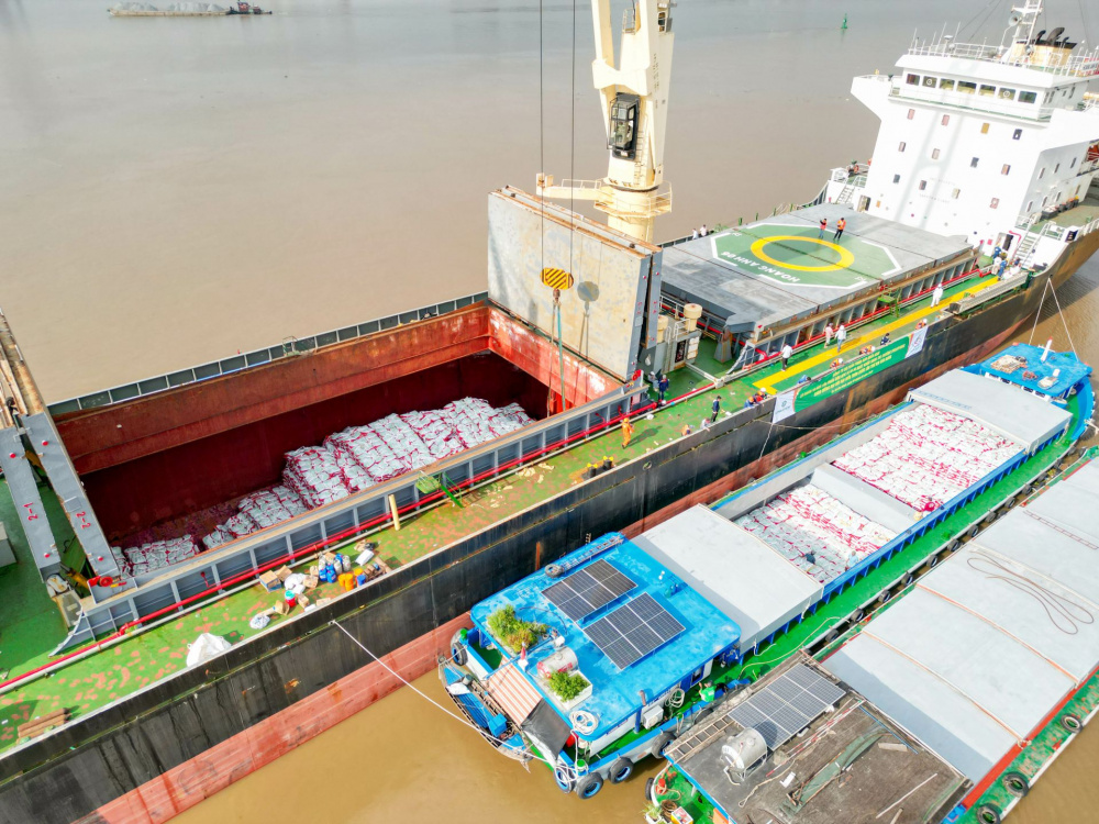 xuất khẩu phân bón 4