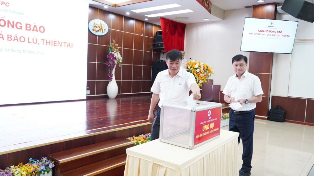 Tổng công ty Điện lực miền Nam