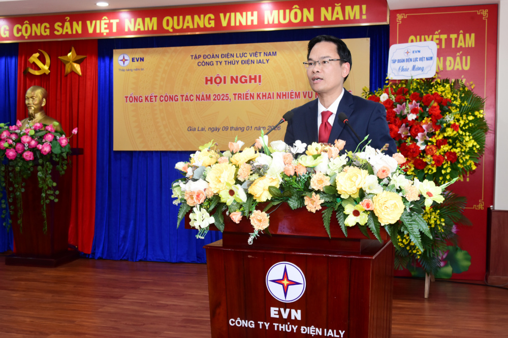 Công ty Thủy điện Ialy