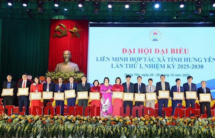 Liên minh 