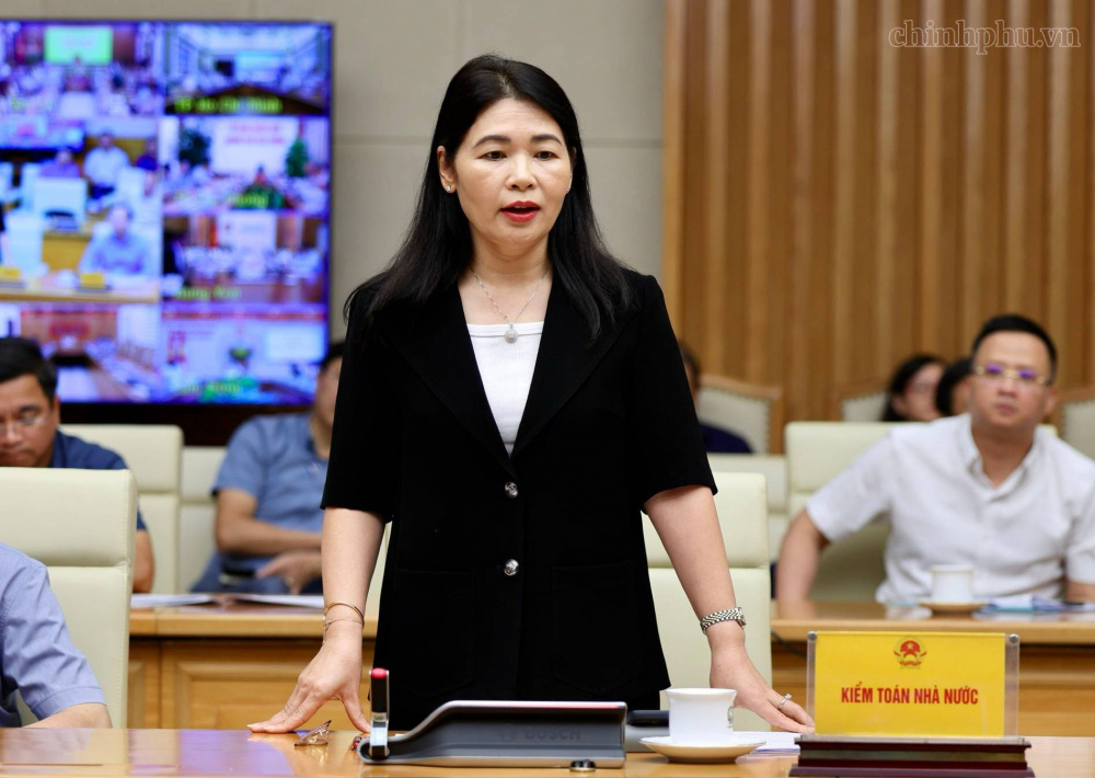 Lãnh đạo các bộ, ngành, tập đoàn phát biểu - Ảnh: chinhphu.vn/Phương Nguyên