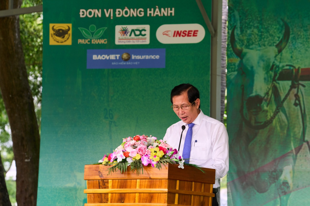 Bình Điền: 5 năm đồng hành cùng di sản Đua bò Bảy Núi
