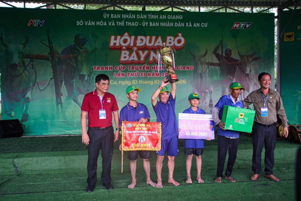 Bình Điền: 5 năm đồng hành cùng di sản Đua bò Bảy Núi