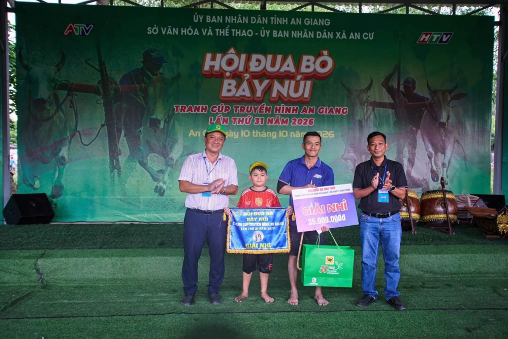 Bình Điền: 5 năm đồng hành cùng di sản Đua bò Bảy Núi