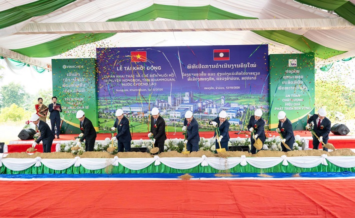 dự án 7