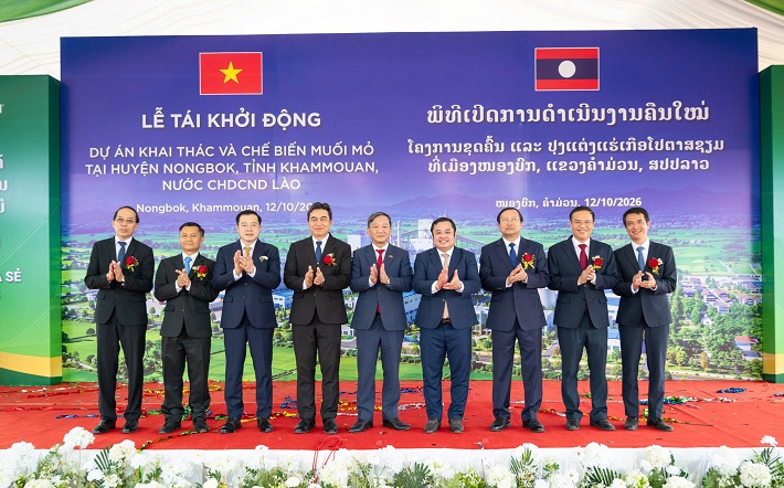 dự án 8