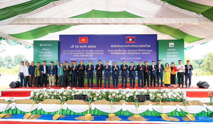dự án 9