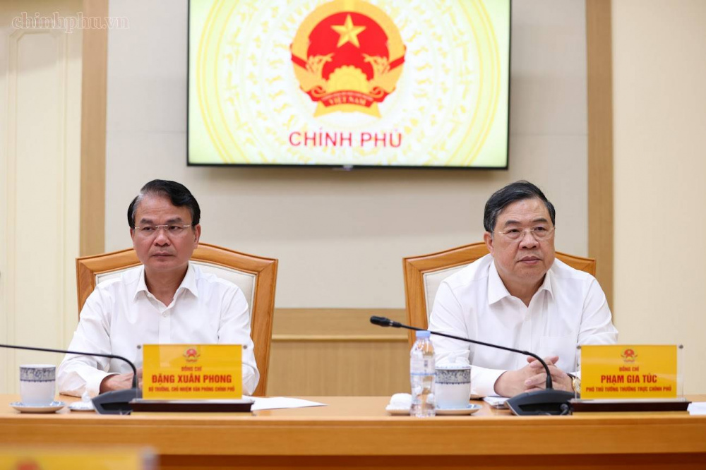 Phó Thủ tướng Thường trực Chính phủ Phạm Gia Túc; Bộ trưởng, Chủ nhiệm Văn phòng Chính phủ Đặng Xuân Phong tham dự cuộc họp - Ảnh: chinhphu.vn/Nhật Bắc