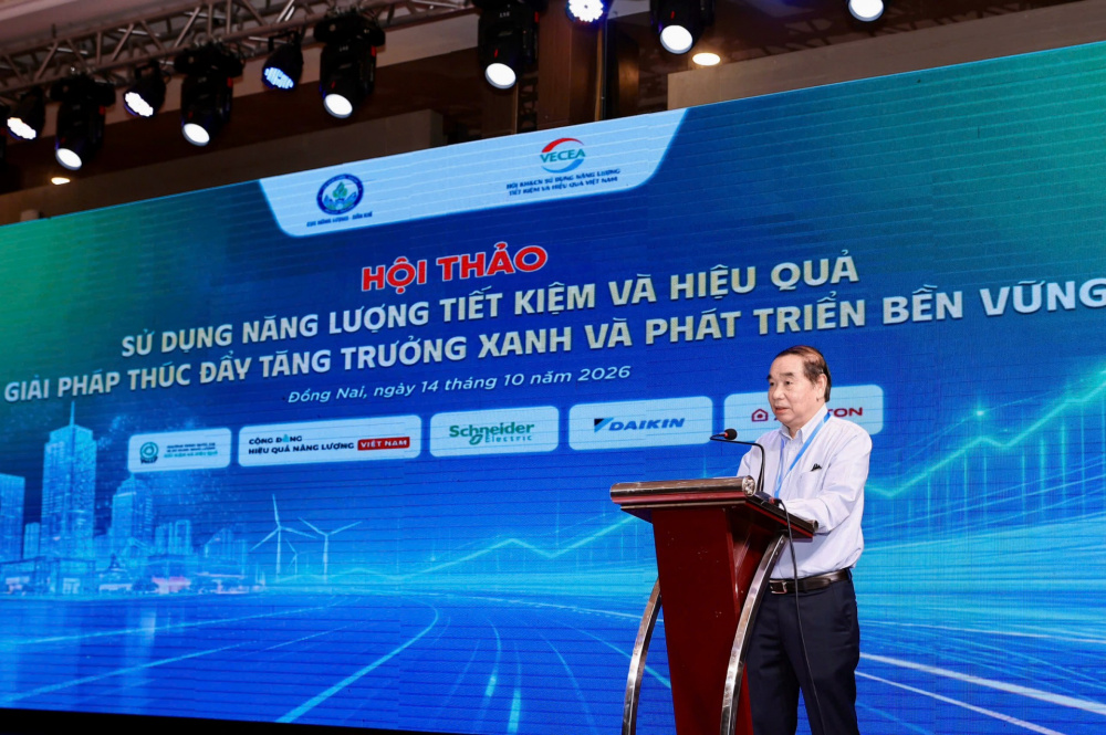 Ông Nguyễn Đình Hiệp - Chủ tịch Hội Khoa học và công nghệ sử dụng năng lượng tiết kiệm và hiệu quả Việt Nam (VECEA)
