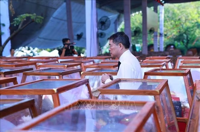 truy điệu liệt sĩ 8