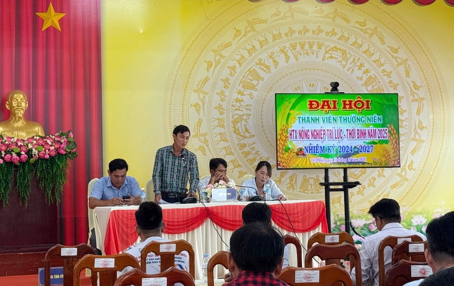 Gạo sạch A an