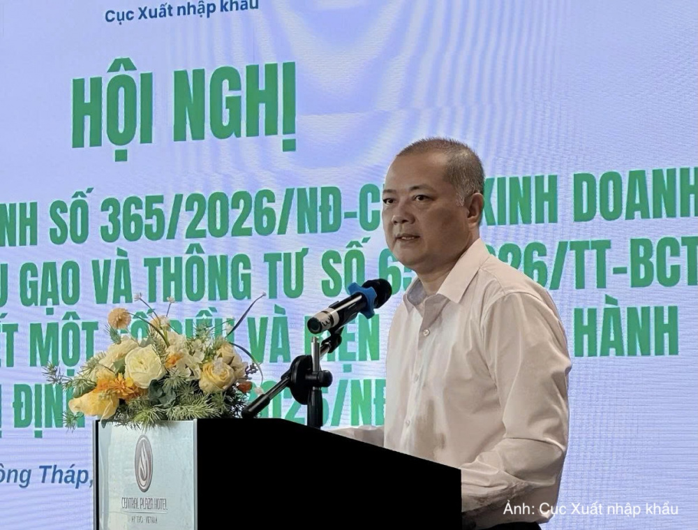 nguyễn anh sơn